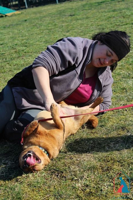 Tymon 86/24 - SZUKA DOMU!