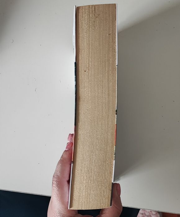 A Comédia Mundana - Livro de Luiz Biajoni