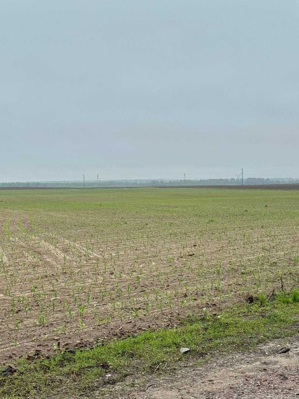 Фасадна ділянка на Житомирській трасі! Комерційне призначення