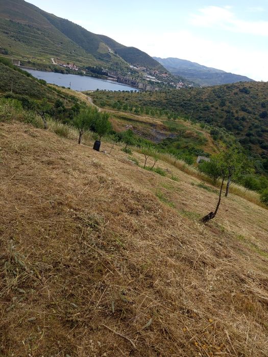 Terreno rústico no Douro