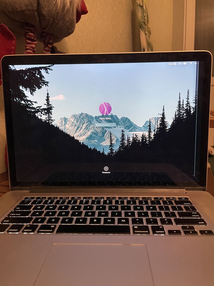 Macbook Pro 15 (2013)