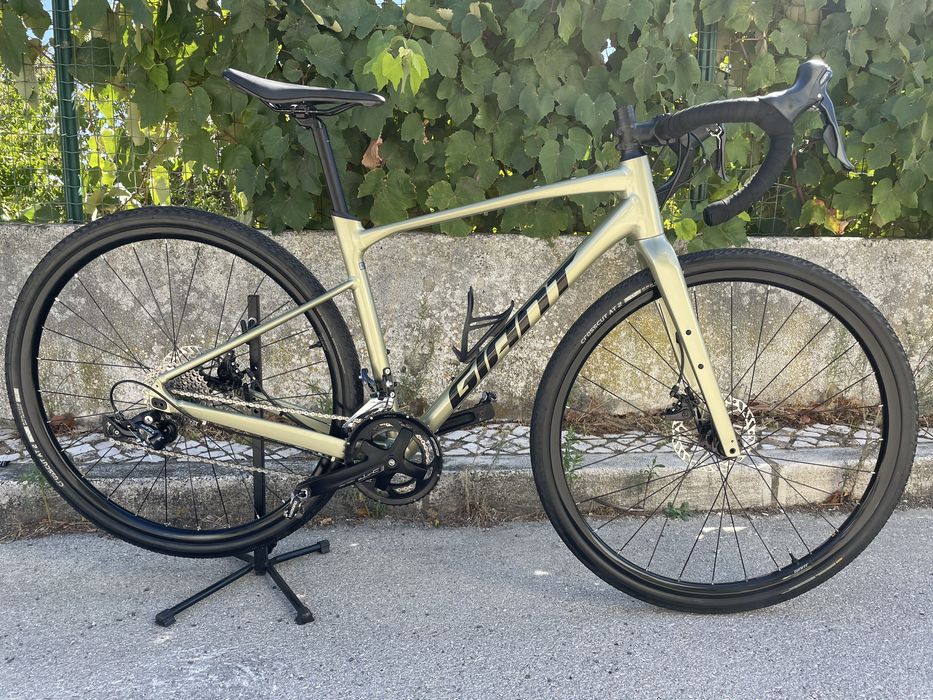 Giant Revolt 2 2024