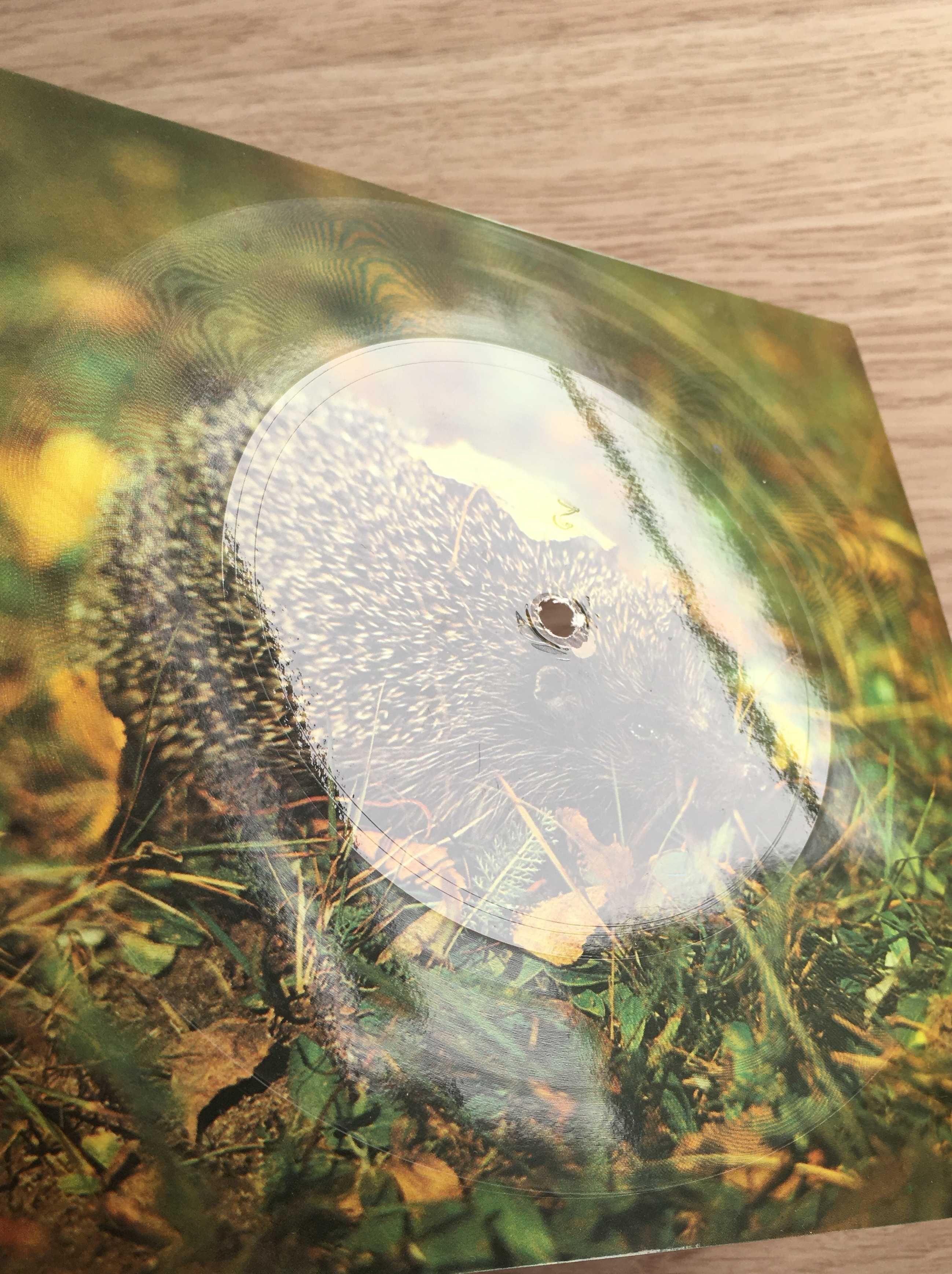 Pocztówka dźwiękowa Drupi - Piccola E Fragile