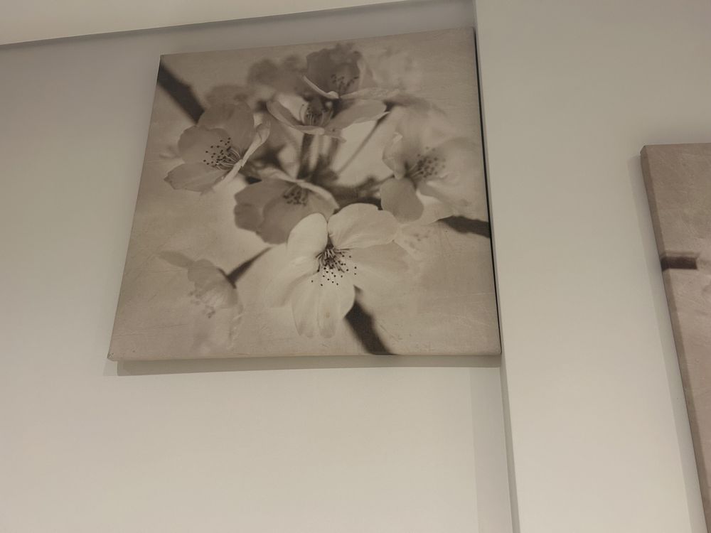 Conjunto de 3 quadros IKEA