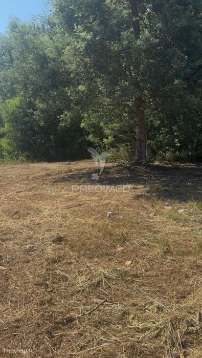 Lote de Construção - Alto de Fridão