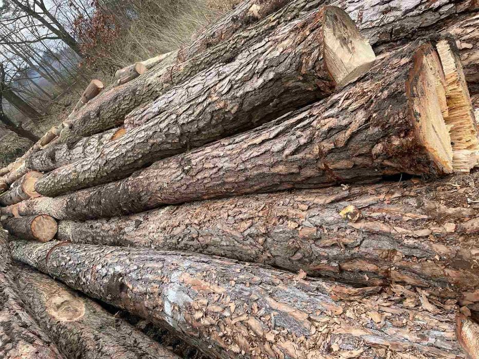 Ліс кругляк пиловочник Сосна та обрізна дошка на оборонку