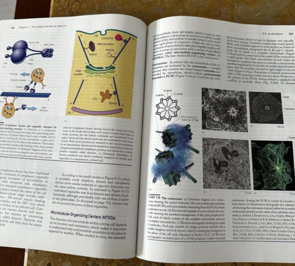 Cell and Molecular biology