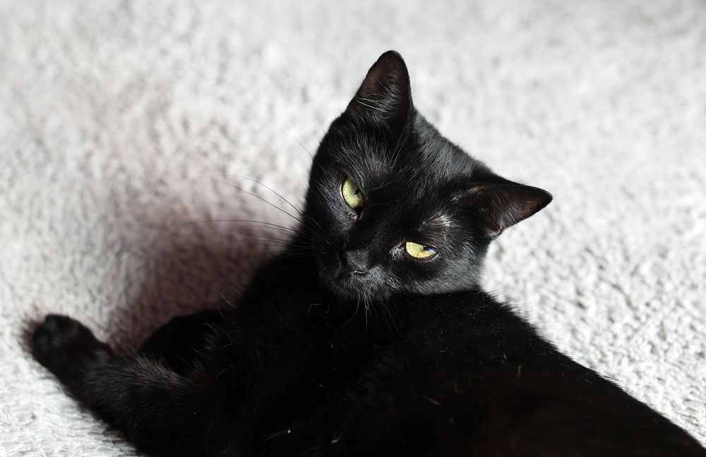 hej, a może właśnie Ty dasz nam wspólny dom?