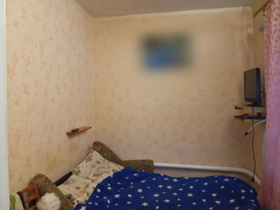 Продам дом (статус квартиры)