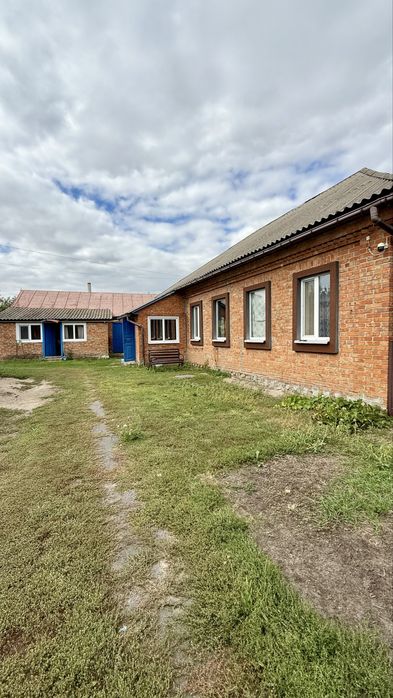 м.Зіньків, продаж будинку, пл.76кв.м., 14сот землі