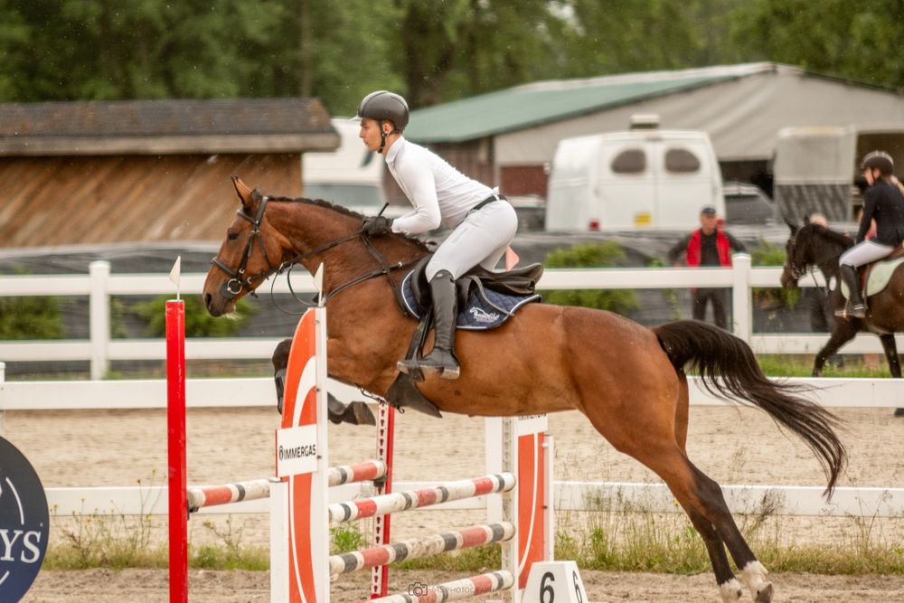 Klacz do sportu 2021 r