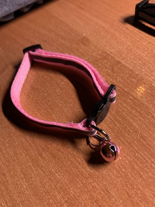 Світловідбивний Нашийник для котів