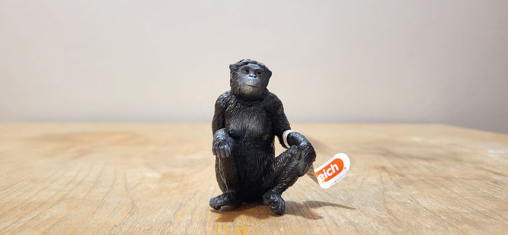 Schleich szympans karłowaty samica figurka model z 2022