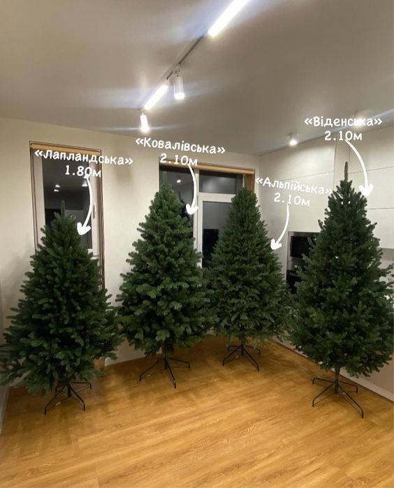Ялинка лита Альпійська Віденська Ковалівська Сіга Груп Siga Group