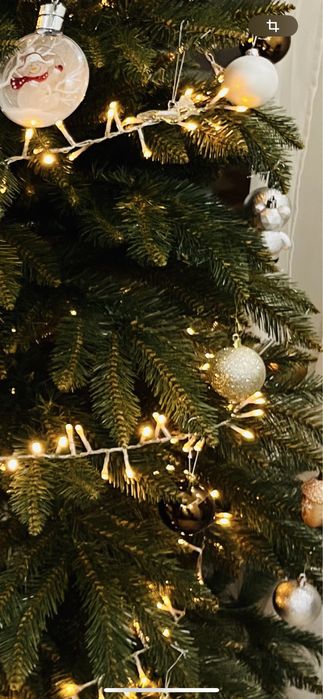 Продам Ялинку, ялинка