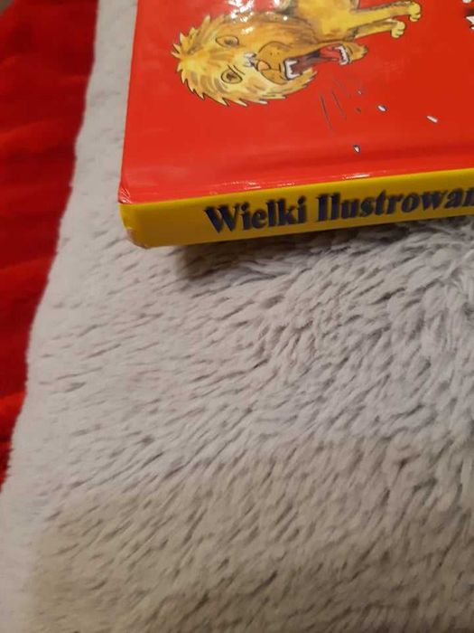 wielki ilustrowany słownik angielsko-polski dla dzieci i młodzieży