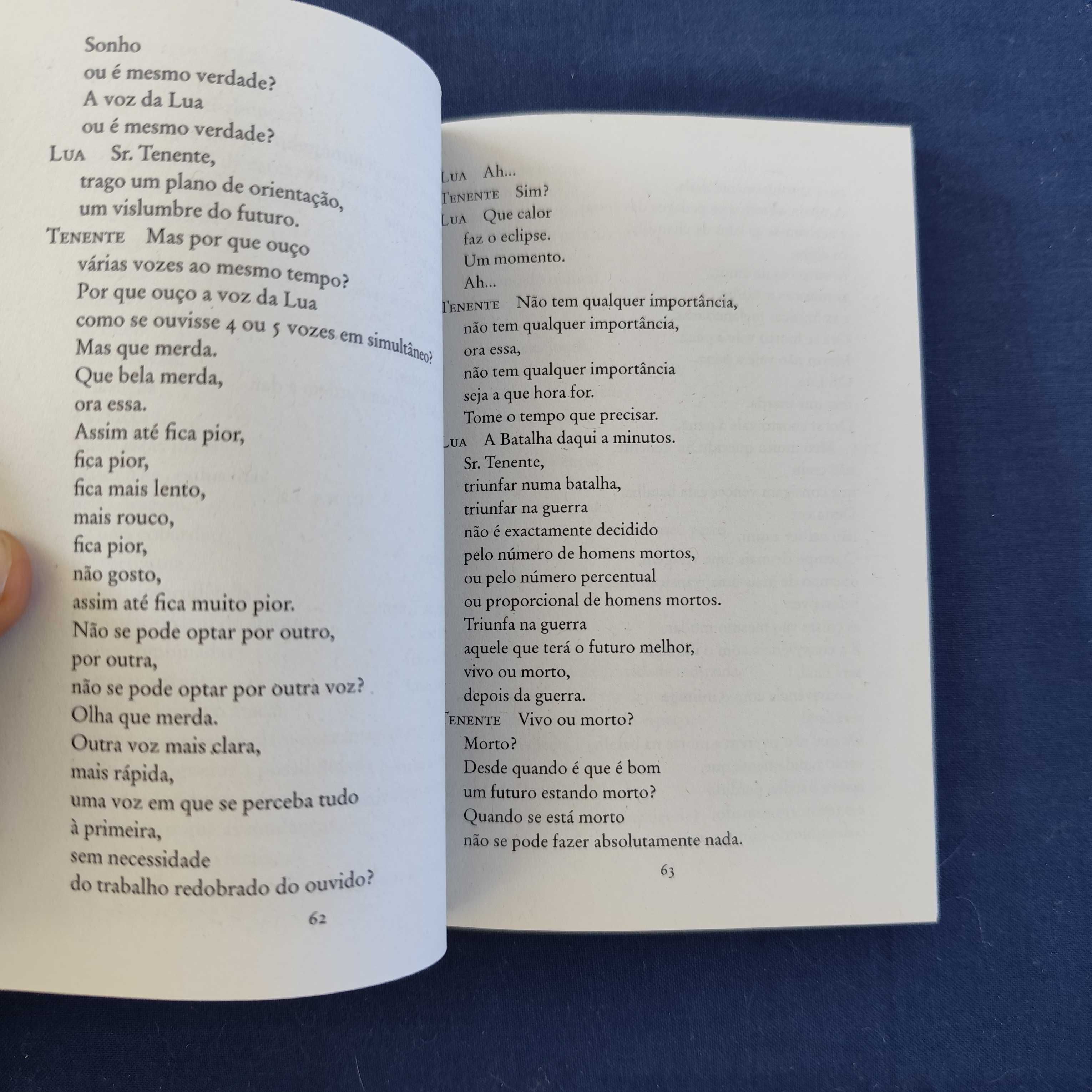 Ricardo Neves-Neves - A Batalha do não sei quê e outros textos