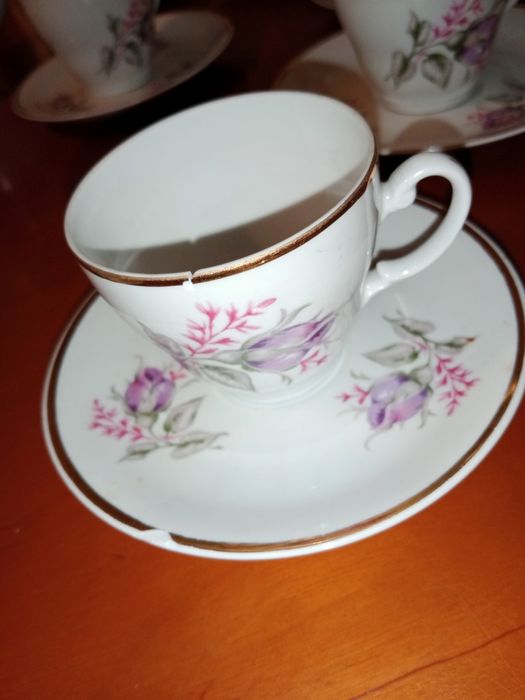 Serwis Włocławek porcelana róże