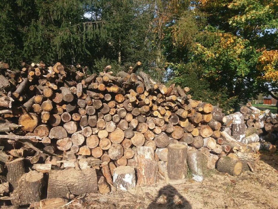 Drewno kominkowe i opałowe - sezonowane