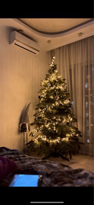 Продам Ялинку, ялинка