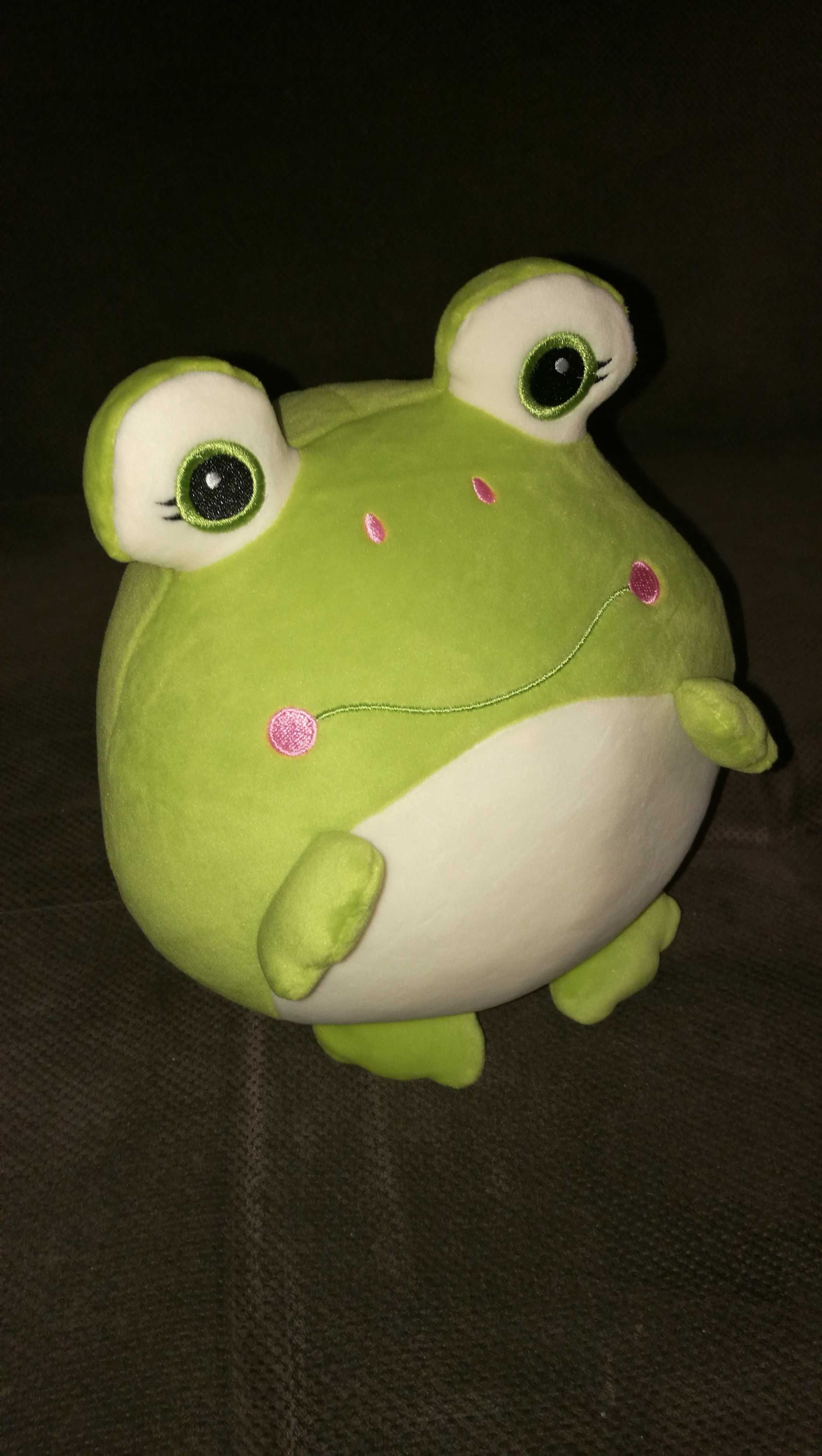 Grająca żaba pluszowa
