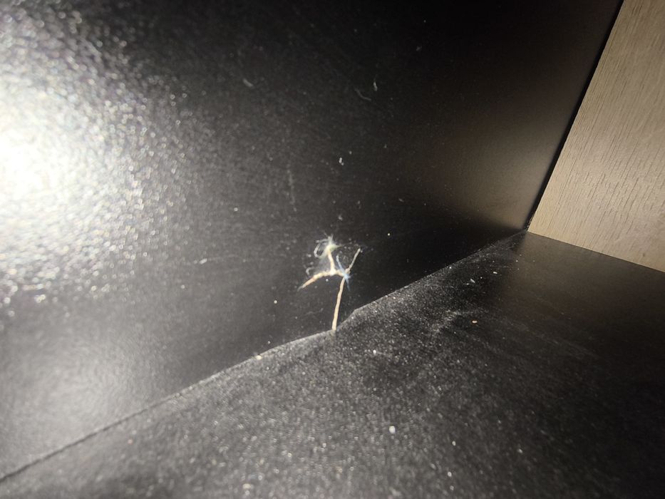 Witryna i RTV w dobrym stanie