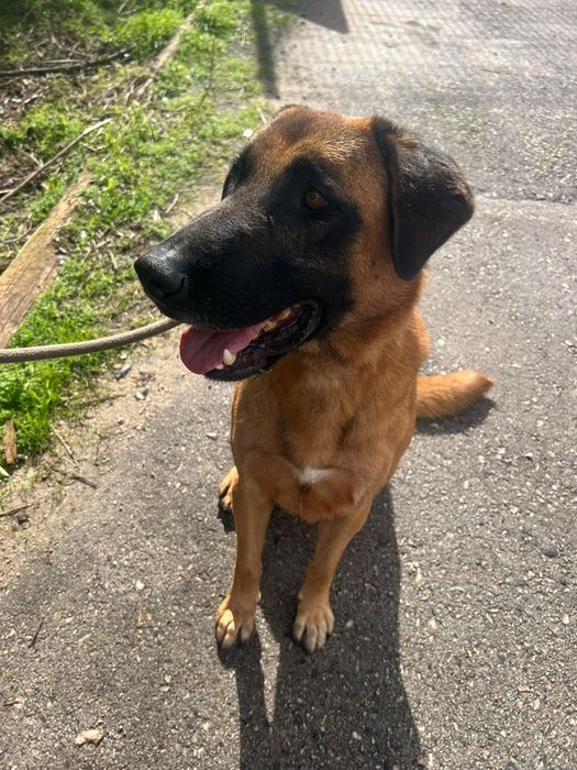 Meninao para super família carinhosa