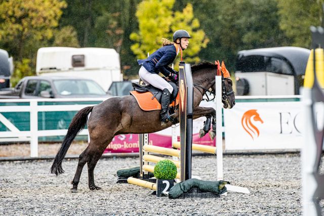 Współdzierżawa  Dżina 8lat/140