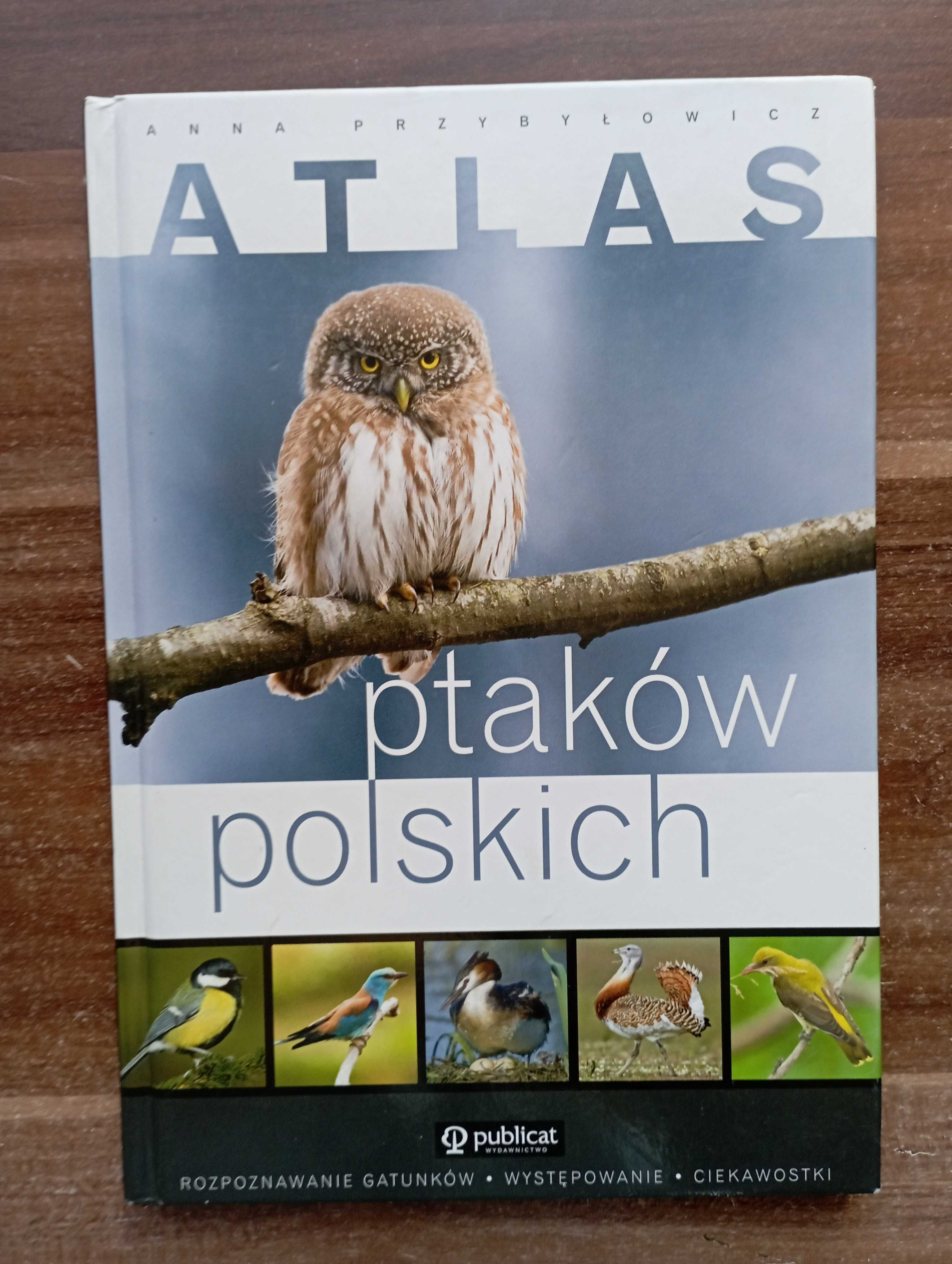 Atlas ptaków polskich Anna Przybyłowicz