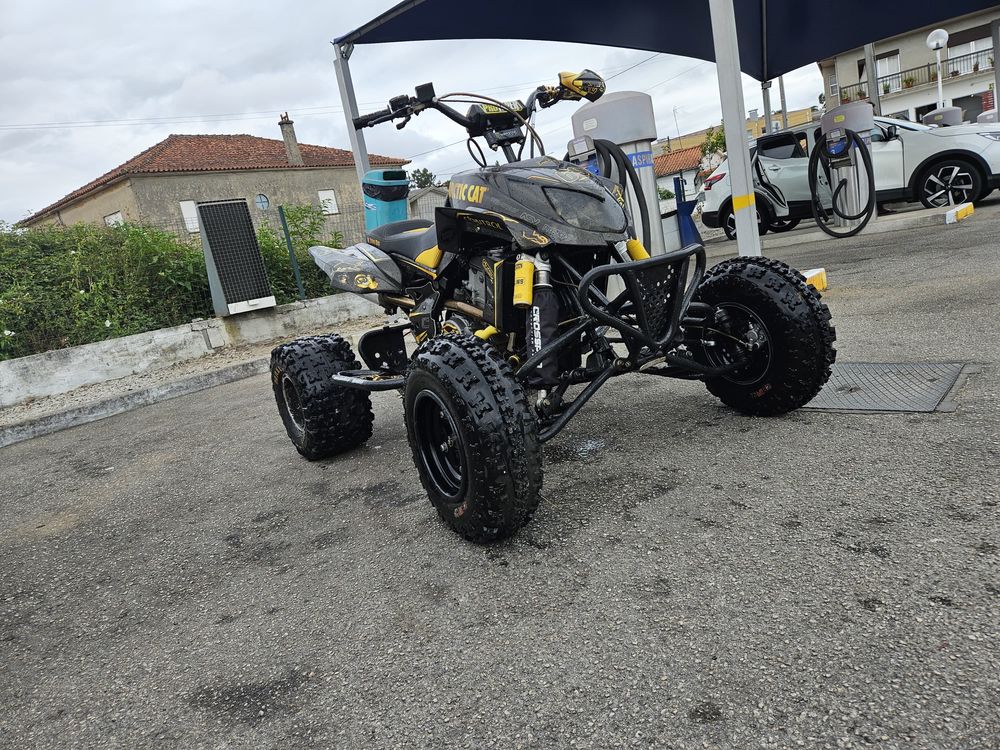 Artic cat dvx 400