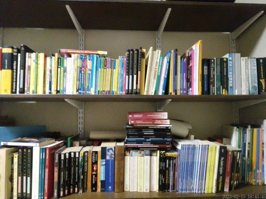 LOTE 35 - LIVROS Diversos - Vendidos INDIVIDUALMENTE a Preços Variados