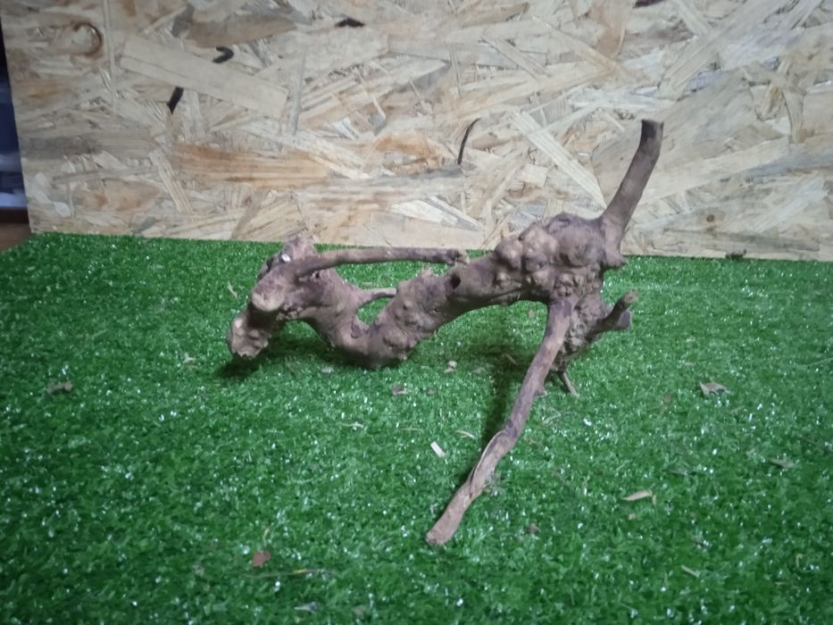 Korzeń do akwarium Red Moore Wood nr 738 o wymiarach 21/16/12