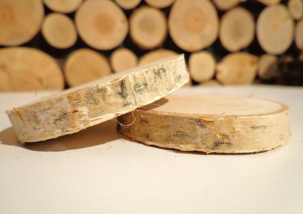 Najtaniej plaster drewna brzoza szlifowany 6 -10cm krążek drewniany
