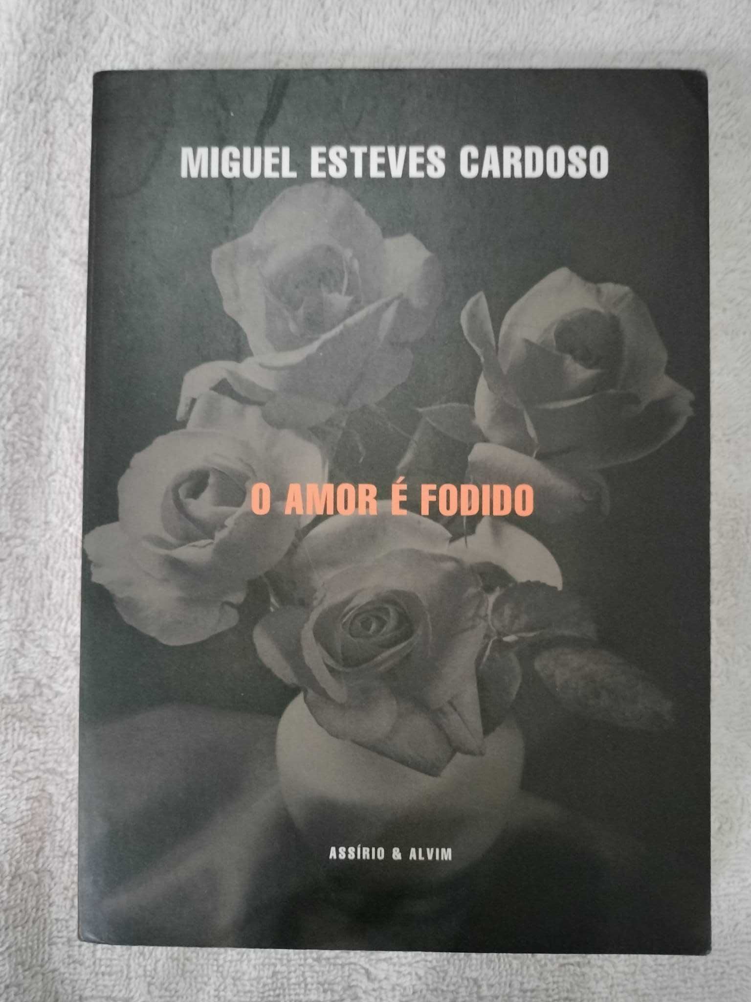 Livros para adultos/jovens adultos