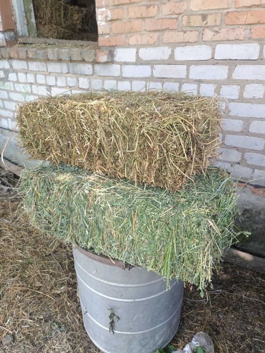 Продам тюки люцерни