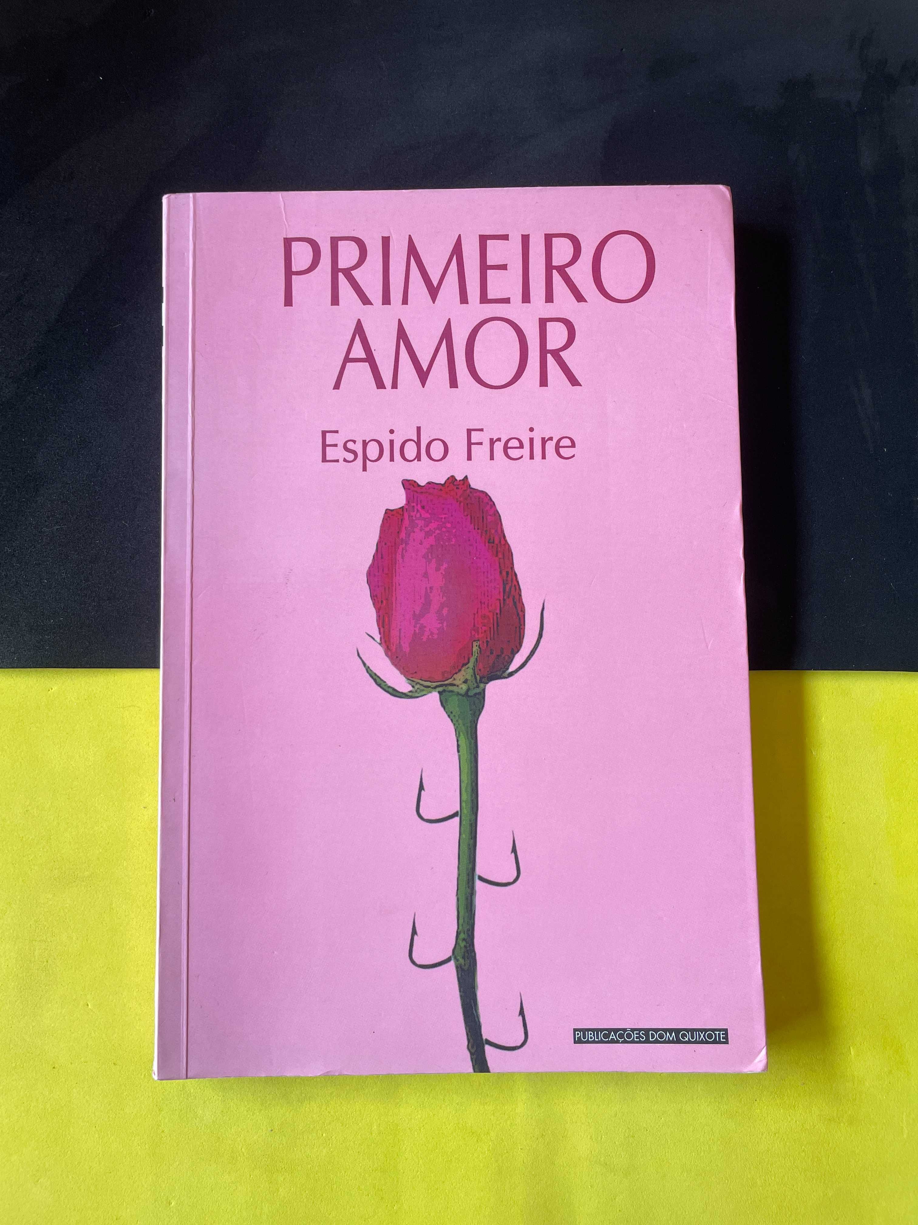 Espido Freire - Primeiro amor