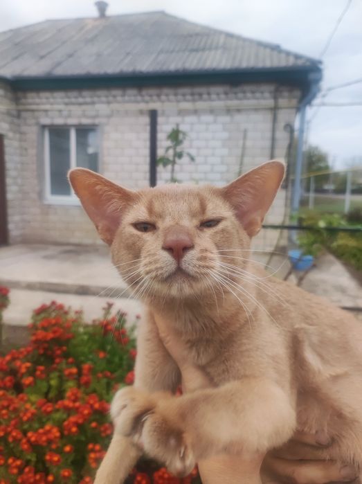 Спішіть тільки сьогодні.Супер знижка на абіка.