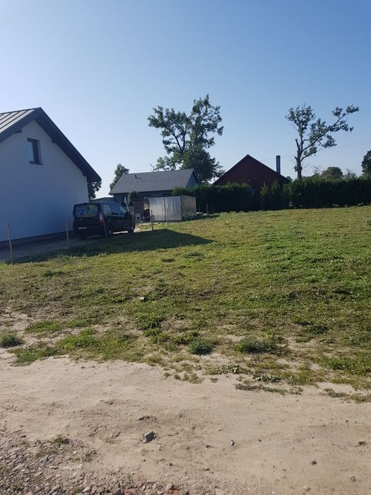 Usługi ogrodnicze / przycinanie krzewów, drzew , porządki posesji