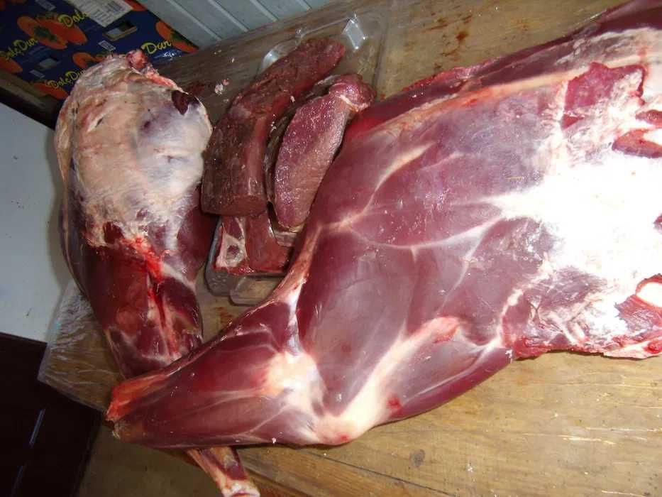 Sprzedam jagnięcinę z owiec Dorper ! Nie czuć baraniną !!!