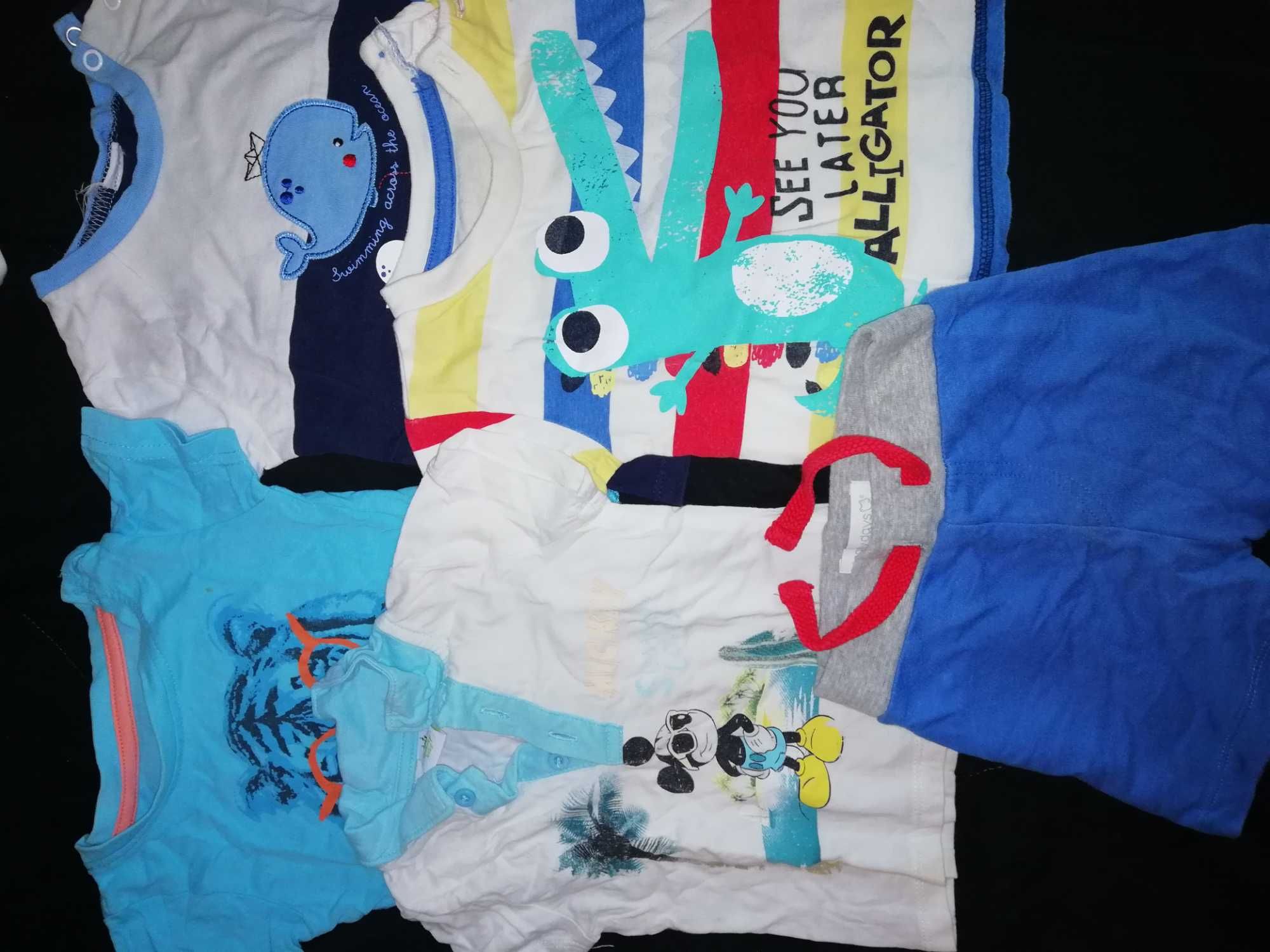 Lote 18 pares sapatos bebés 18 a 26. chicco, geox,adidas,patrulha pata
