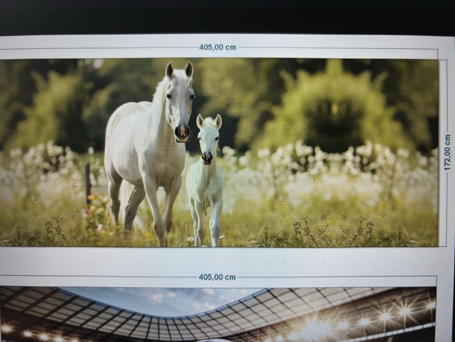 tapeta konie długa duża gruba 170x405cm winylowa fizelinowa
