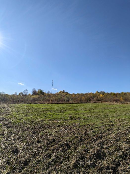 Земельна ділянка 15 сот Ст. Лисець, вул. Шевченка, під забудову (4)