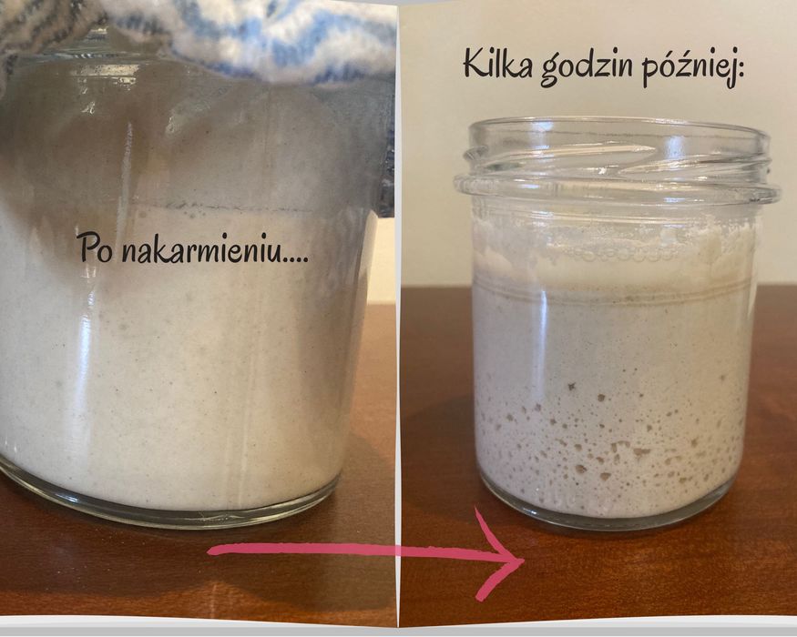 Bezglutenowy zakwas ryżowy