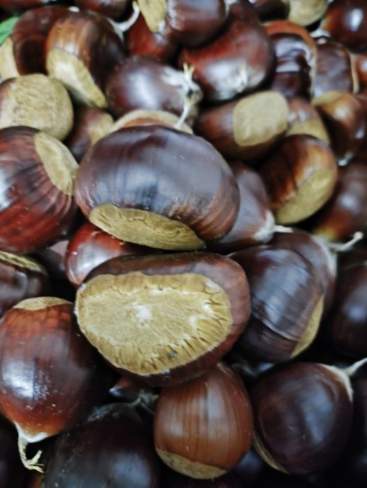 Castanhas boa qualidade 2€ entrega Braga e Vieira do Minho