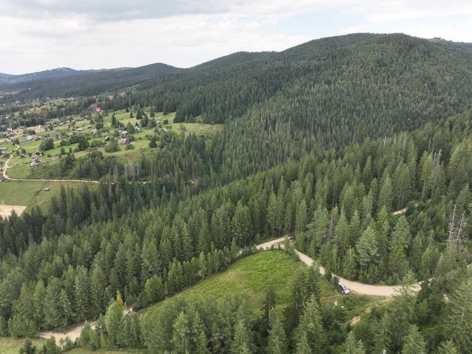 Земельна ділянка 0,34 га, с.Микуличин (панорама, ліс навколо)