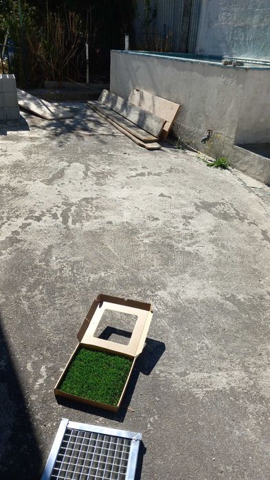 Moradia T2 em Viseu, com churrasqueira e piscina