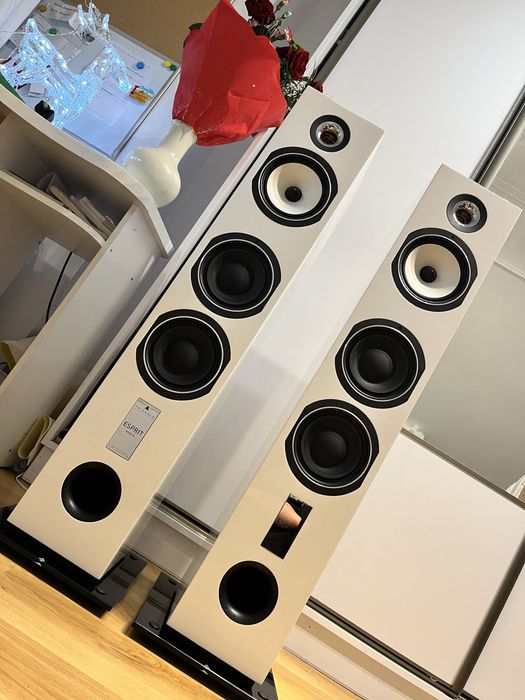 Unikalne kolumny podłogowe Triangle Antal EZ z 2 kolorami maskownic!