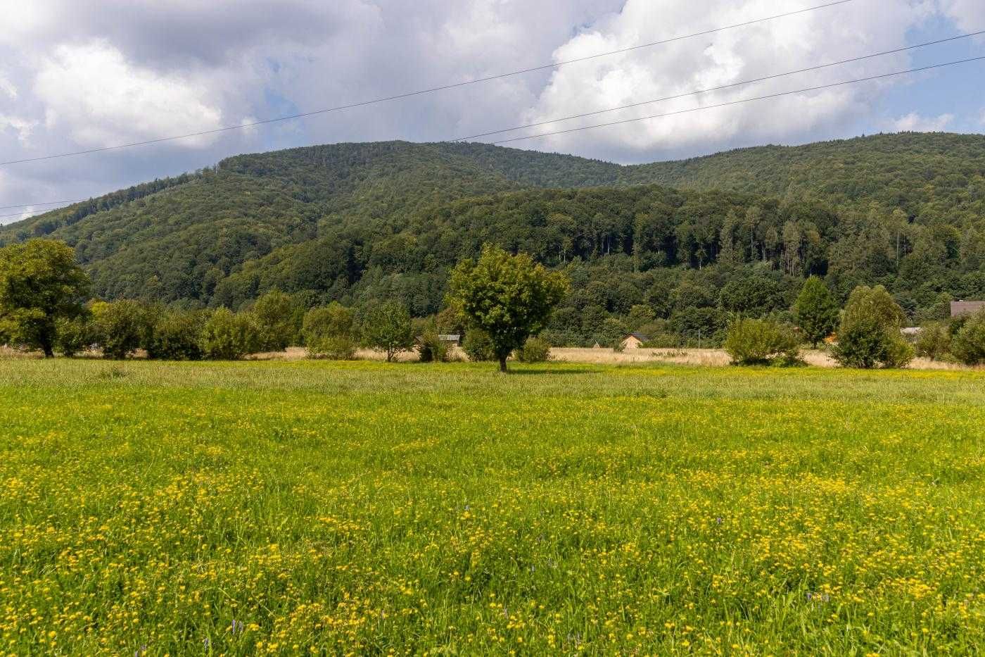Продаж землі із комунікаціями в Яремче , Карпати