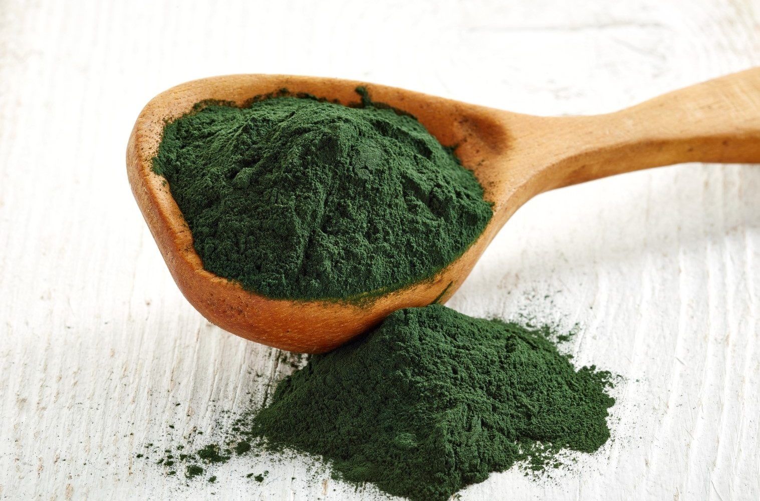 Spirulina (ou espirulina) para alimentação de peixes de aquário