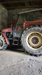 Ursus 914 EKSPORT